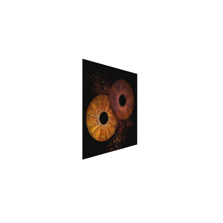 Tableau Alu Dibond deux iris, vue de profil