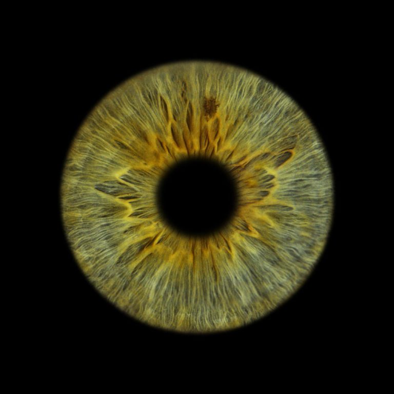 Iris humain vert photographié par You&Eye