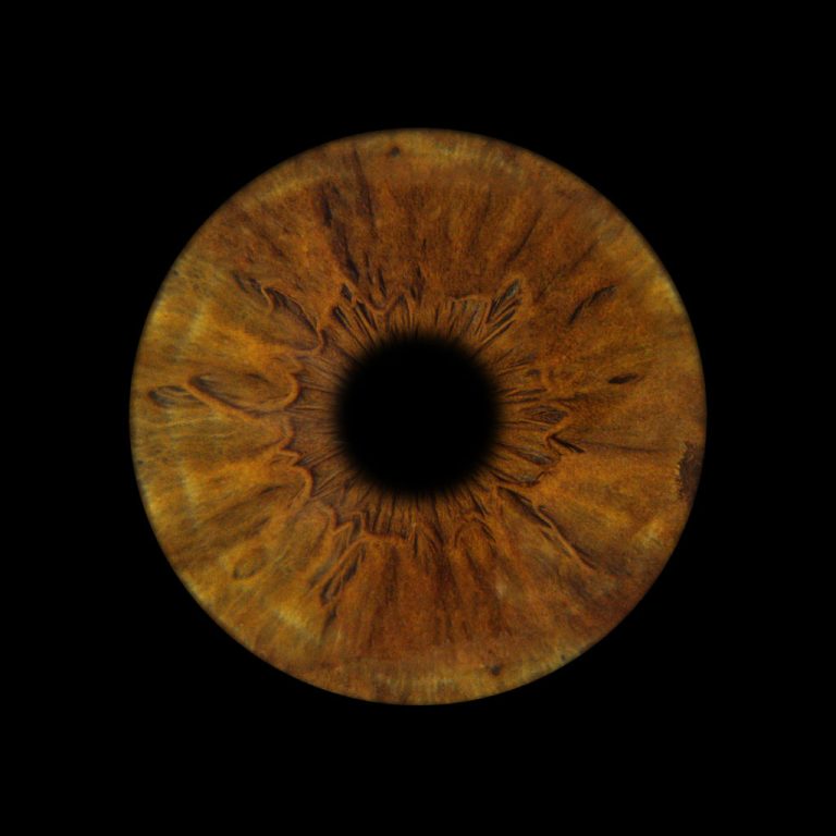 Iris humain marron photographié par You&Eye
