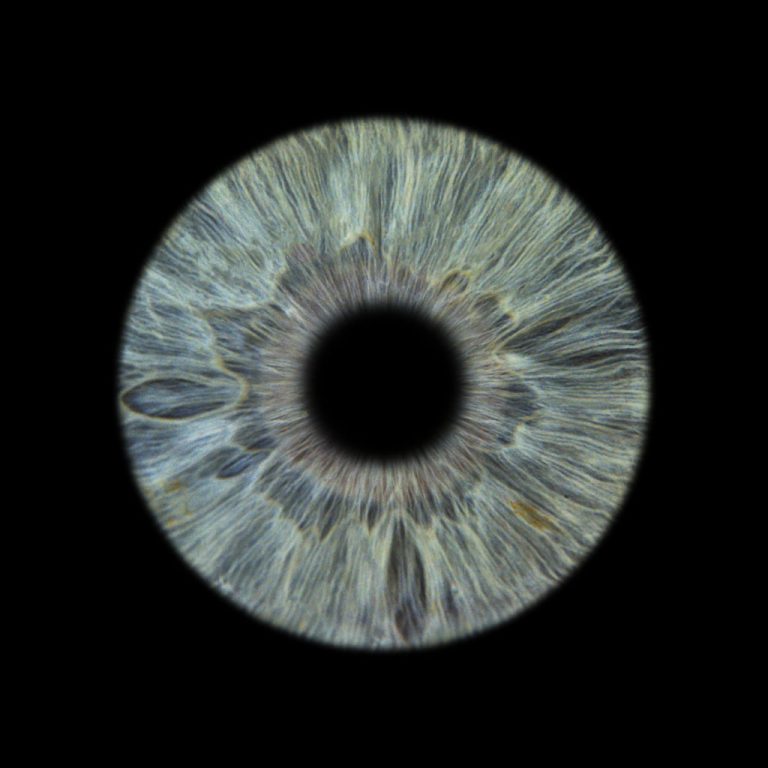 Iris humain bleu photographié par You&Eye