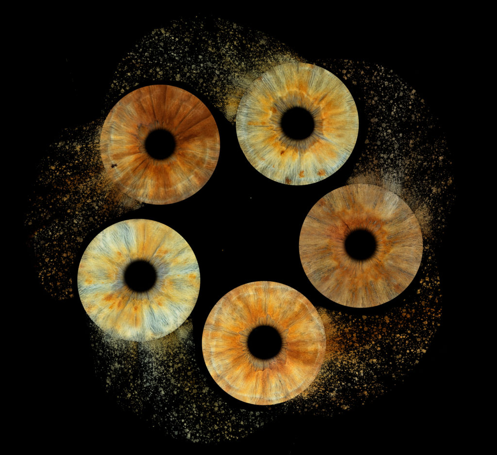 Effet Comète, 5 iris