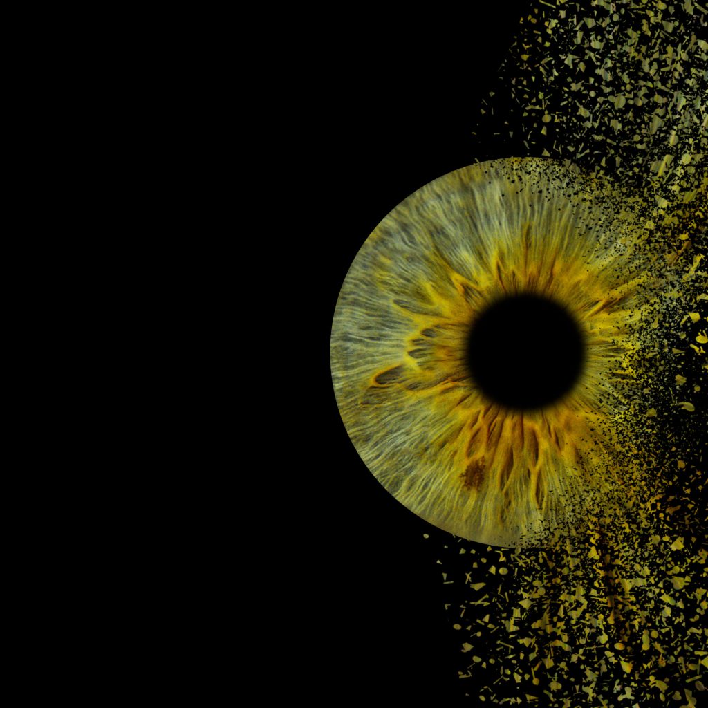Effet Côté, 1 iris