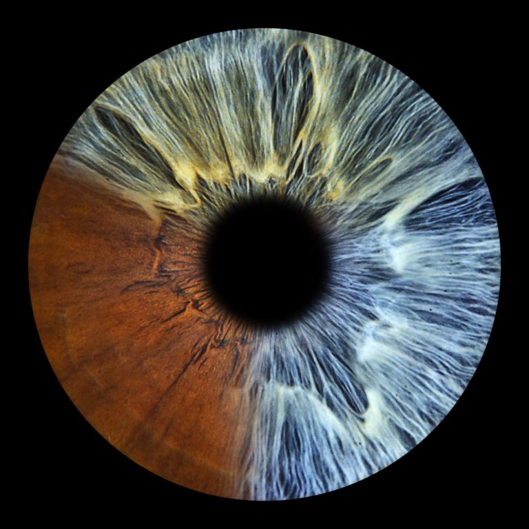 Photo d iris macro - You and Eye